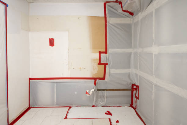 Best Real Estate Mold Inspection  in Highland Heights, KY