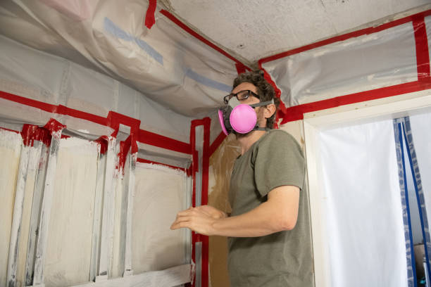 Best Attic Mold Removal  in Highland Heights, KY