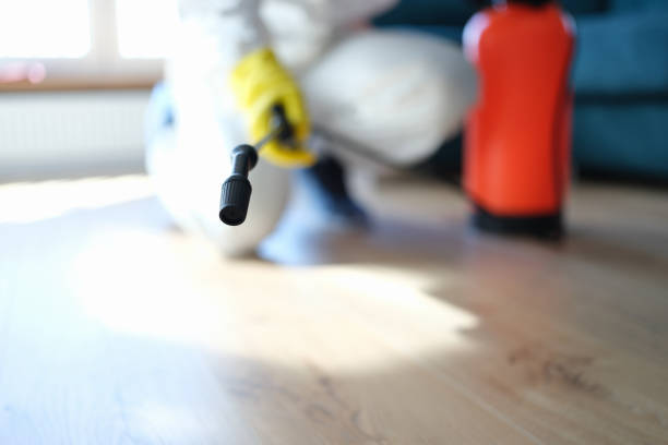 Highland Heights, KY Mold Removal Company