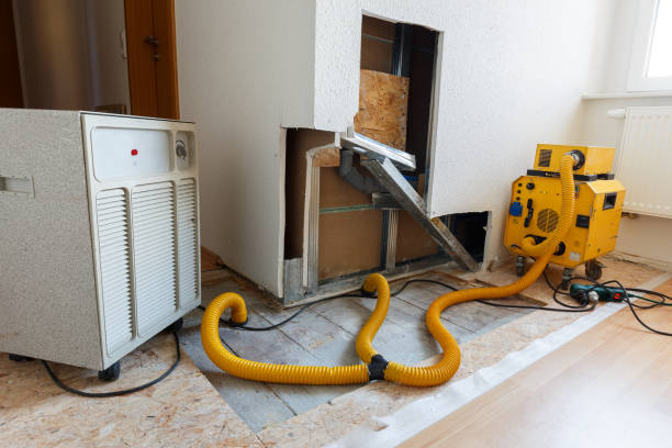 Best Environmental Consulting for Mold Prevention  in Highland Heights, KY